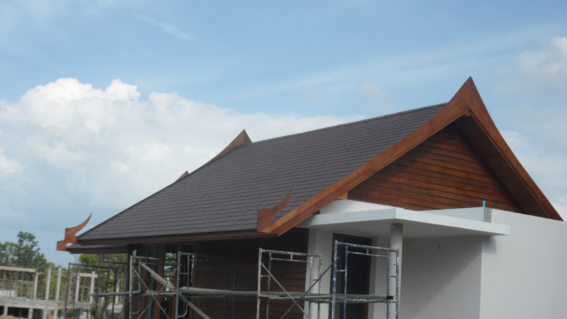 gallery/construction/SAM_7459.JPG